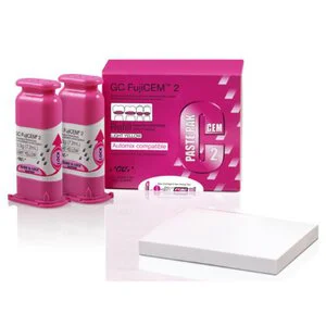GC FujiCEM 2 Glass Ionomer Cement Refill GC FujiCEM 2 Glass Ionomer Cement Refill